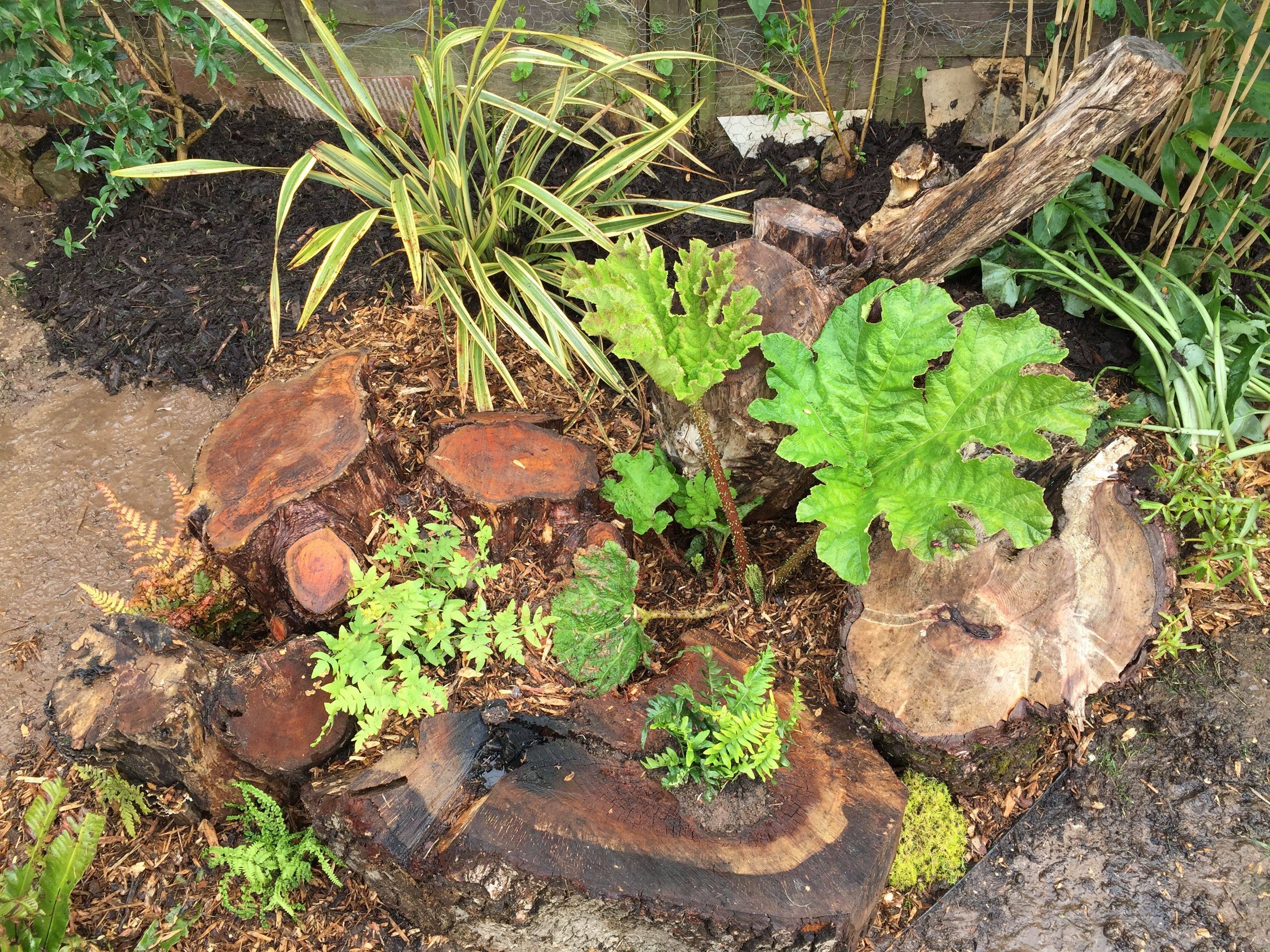 23 Stumpery Garden Ideas Worth to Check | SharonSable