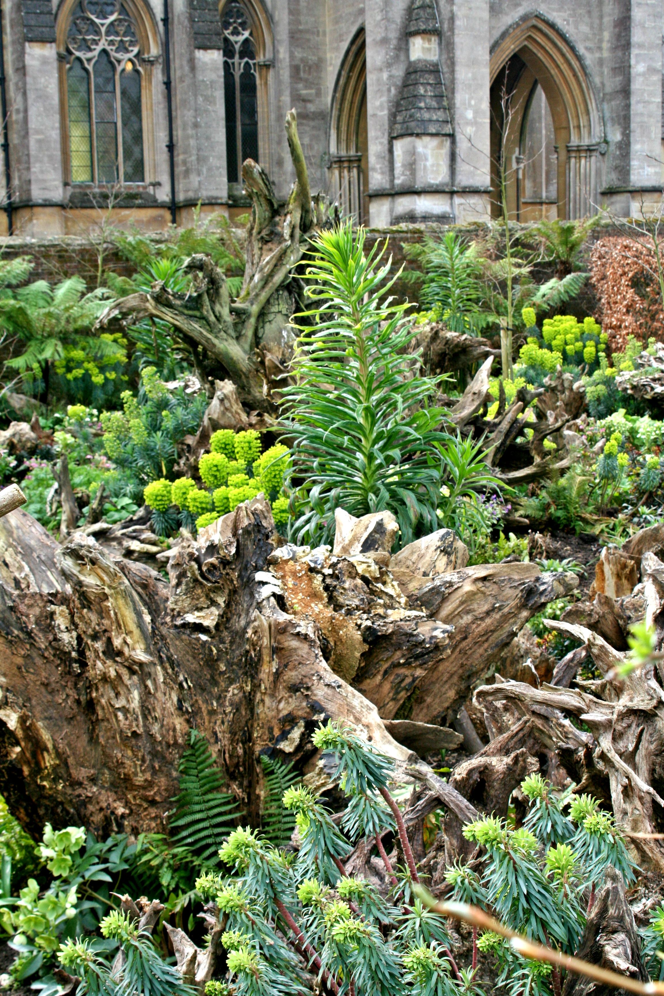 23 Stumpery Garden Ideas Worth to Check | SharonSable