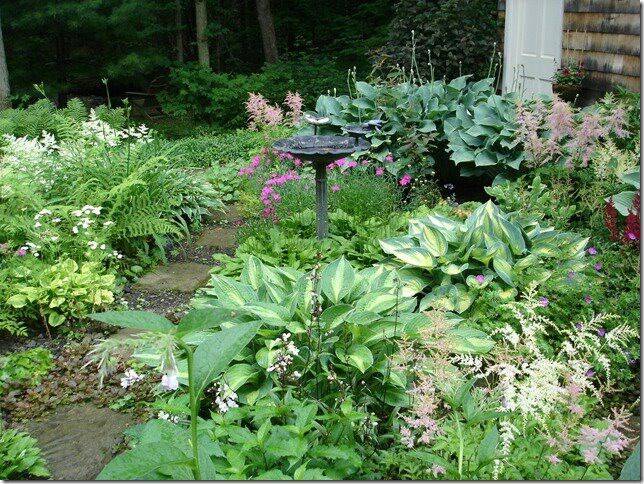 22 Corner Shade Garden with Hostas Ideas You Must Look | SharonSable