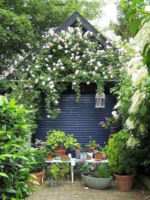 My Cottage Garden