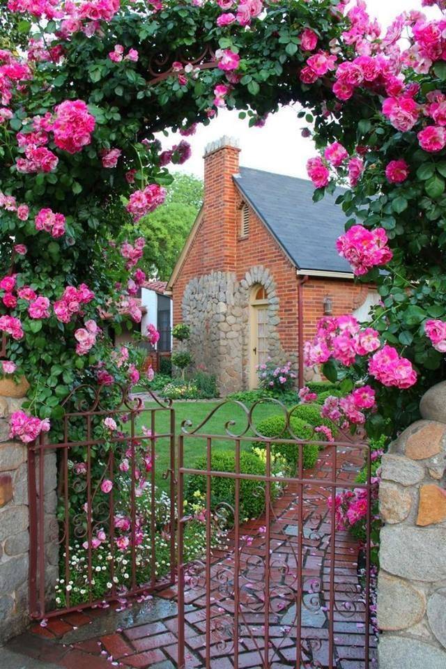 Cozy French Cottage Climbing Roses