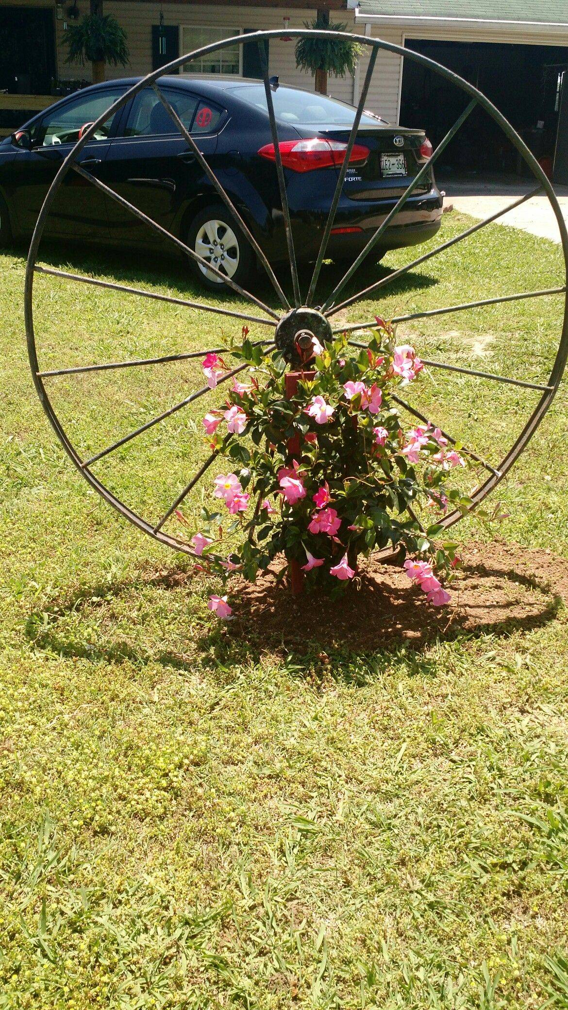 22 Wagon Wheel Flower Garden Ideas You Must Look | SharonSable