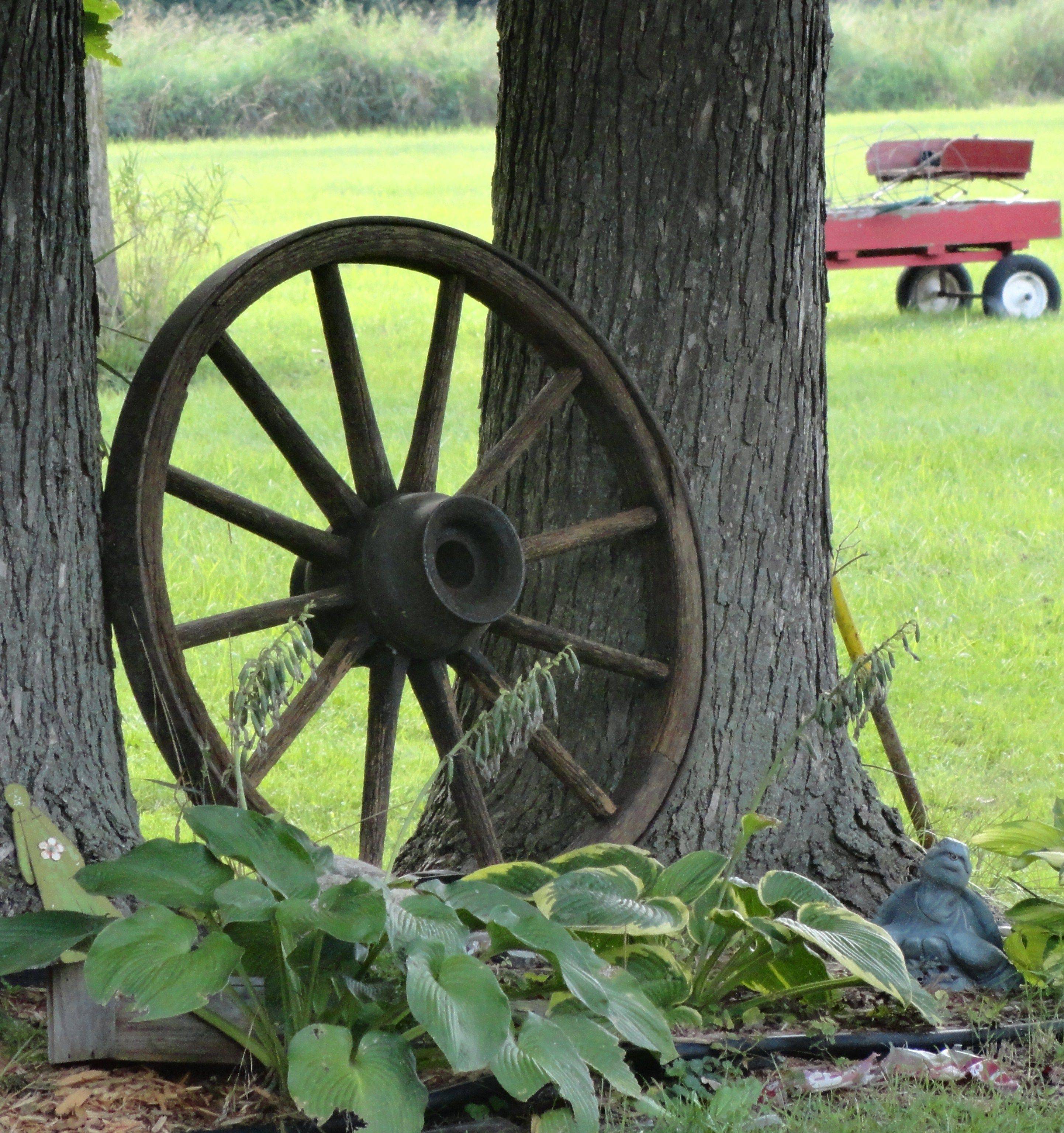 22 Wagon Wheel Flower Garden Ideas You Must Look | SharonSable