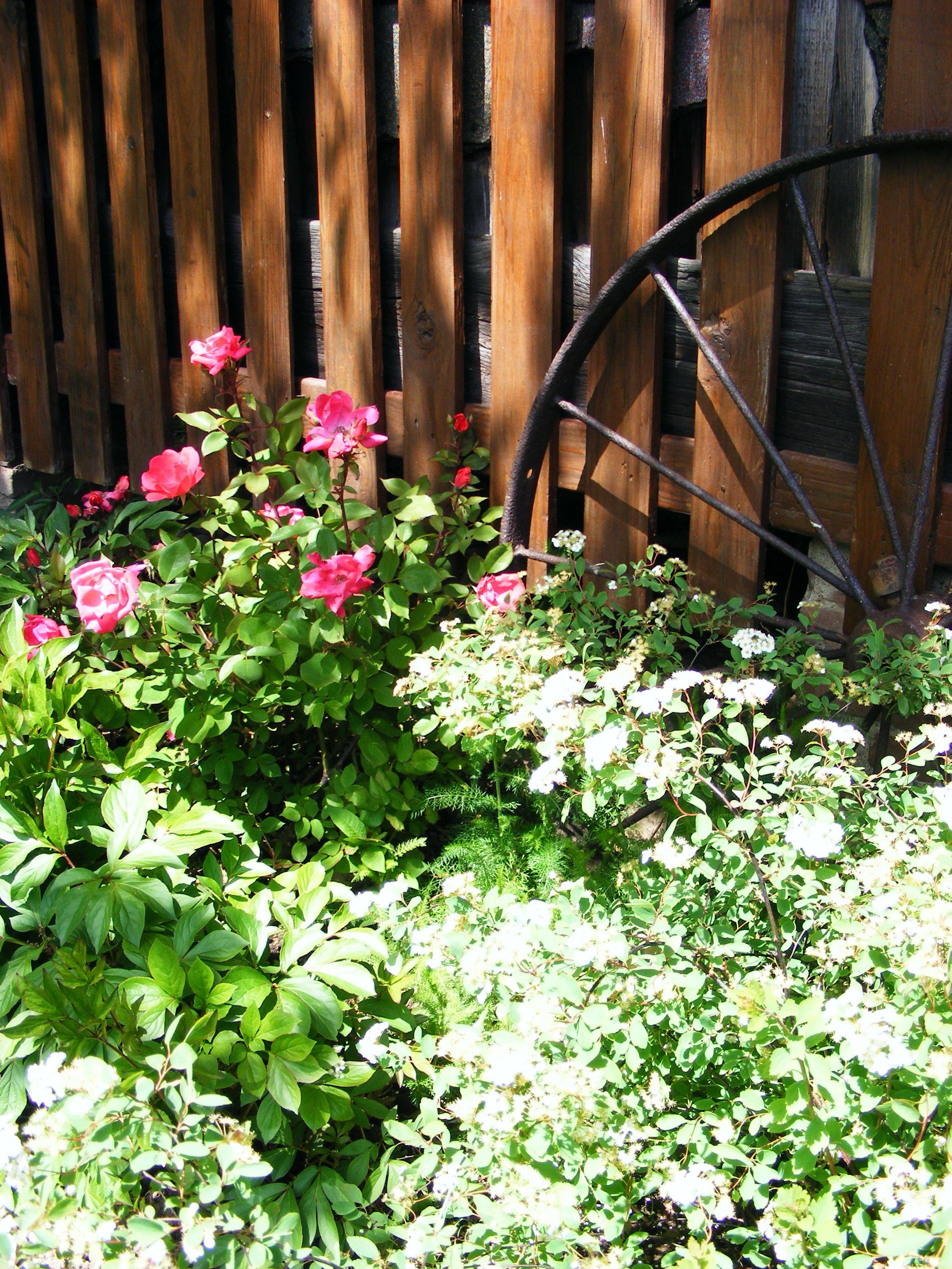 22 Wagon Wheel Flower Garden Ideas You Must Look | SharonSable