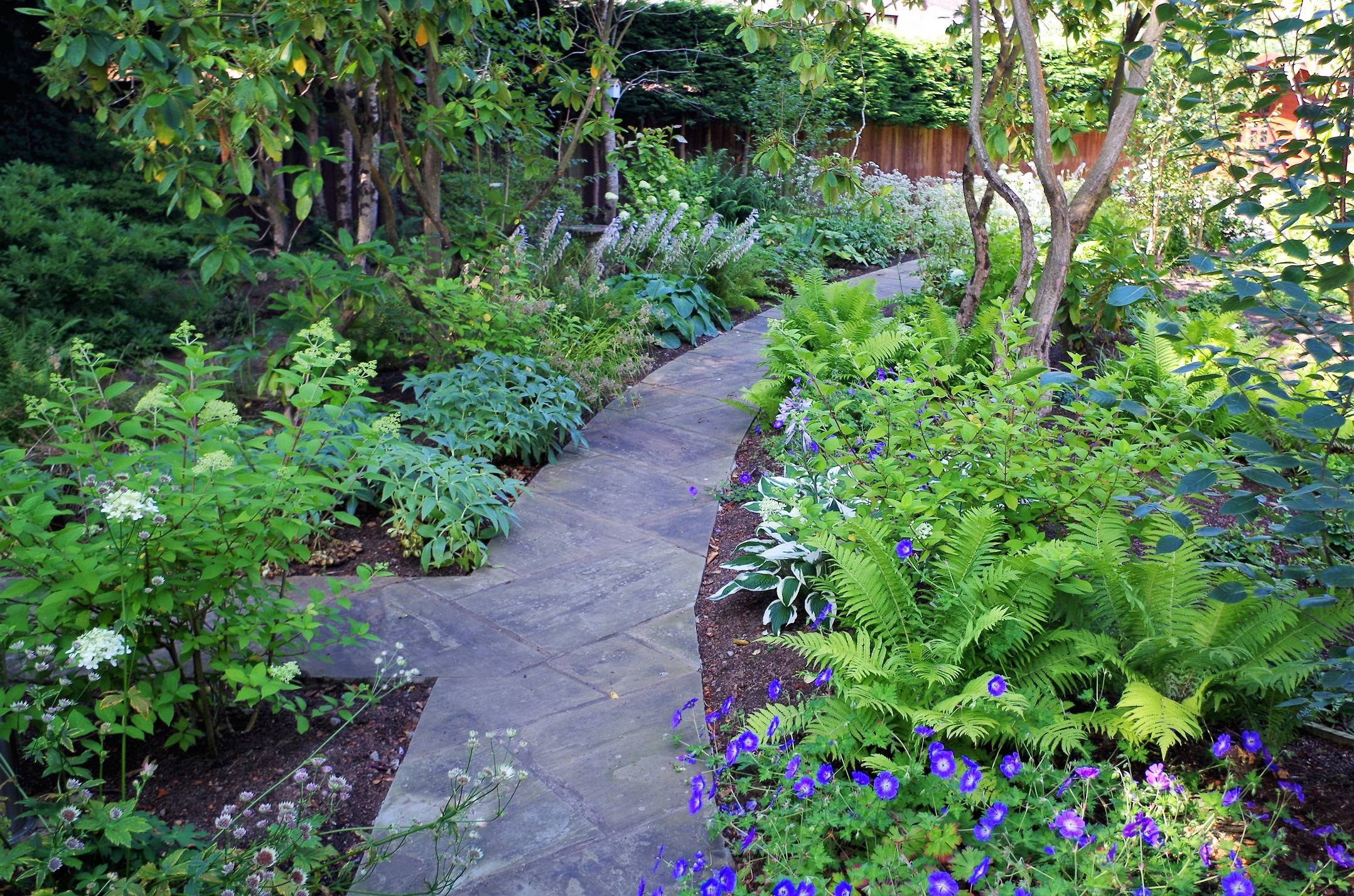 21 Woodland Garden Design Plans Ideas For This Year | SharonSable