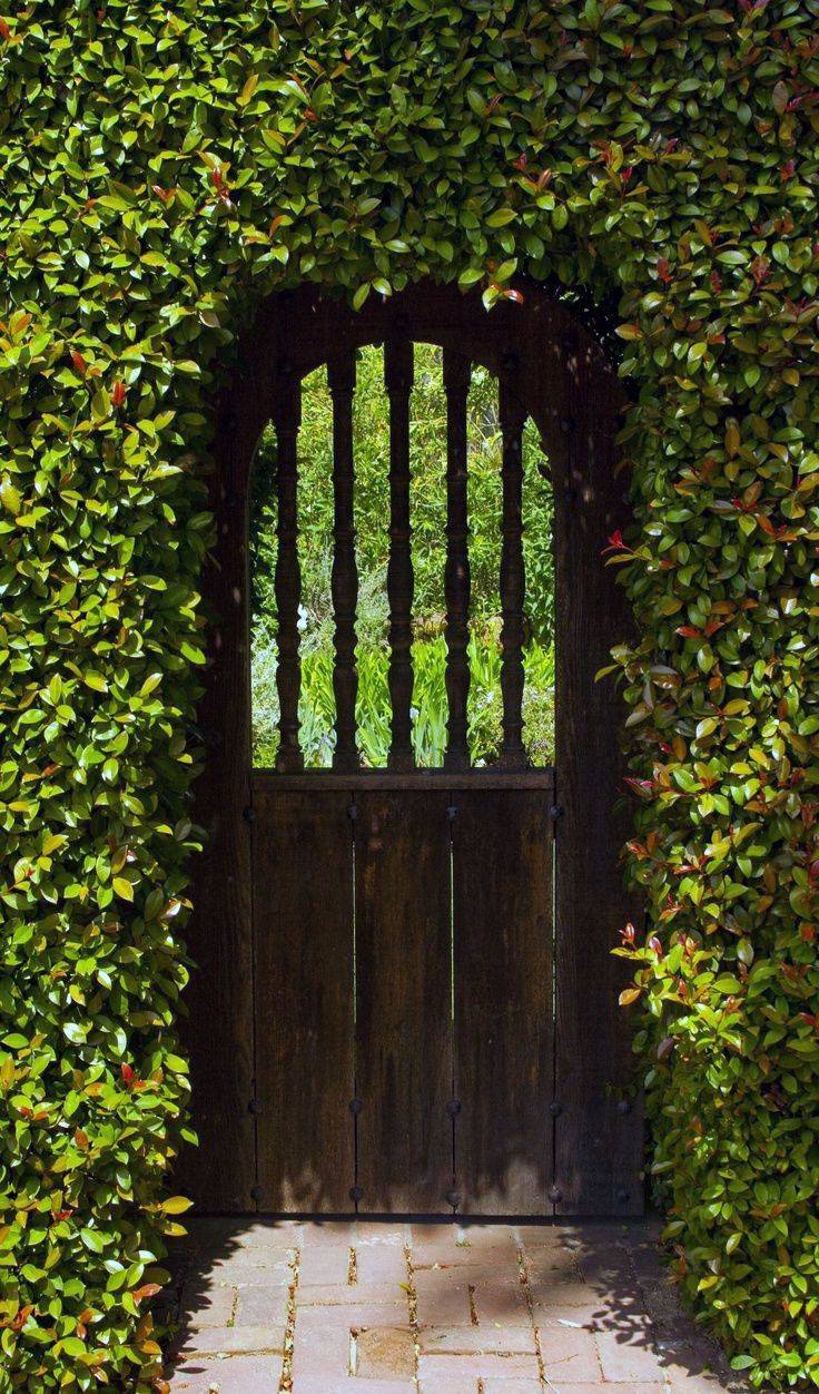 Beautiful Garden Gates