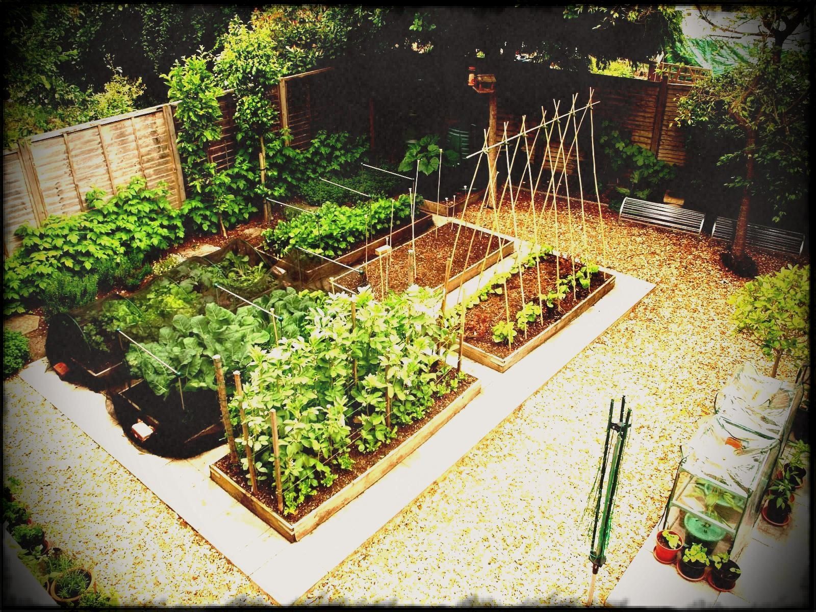 20 Great Vegetable Garden Ideas You Should Check SharonSable