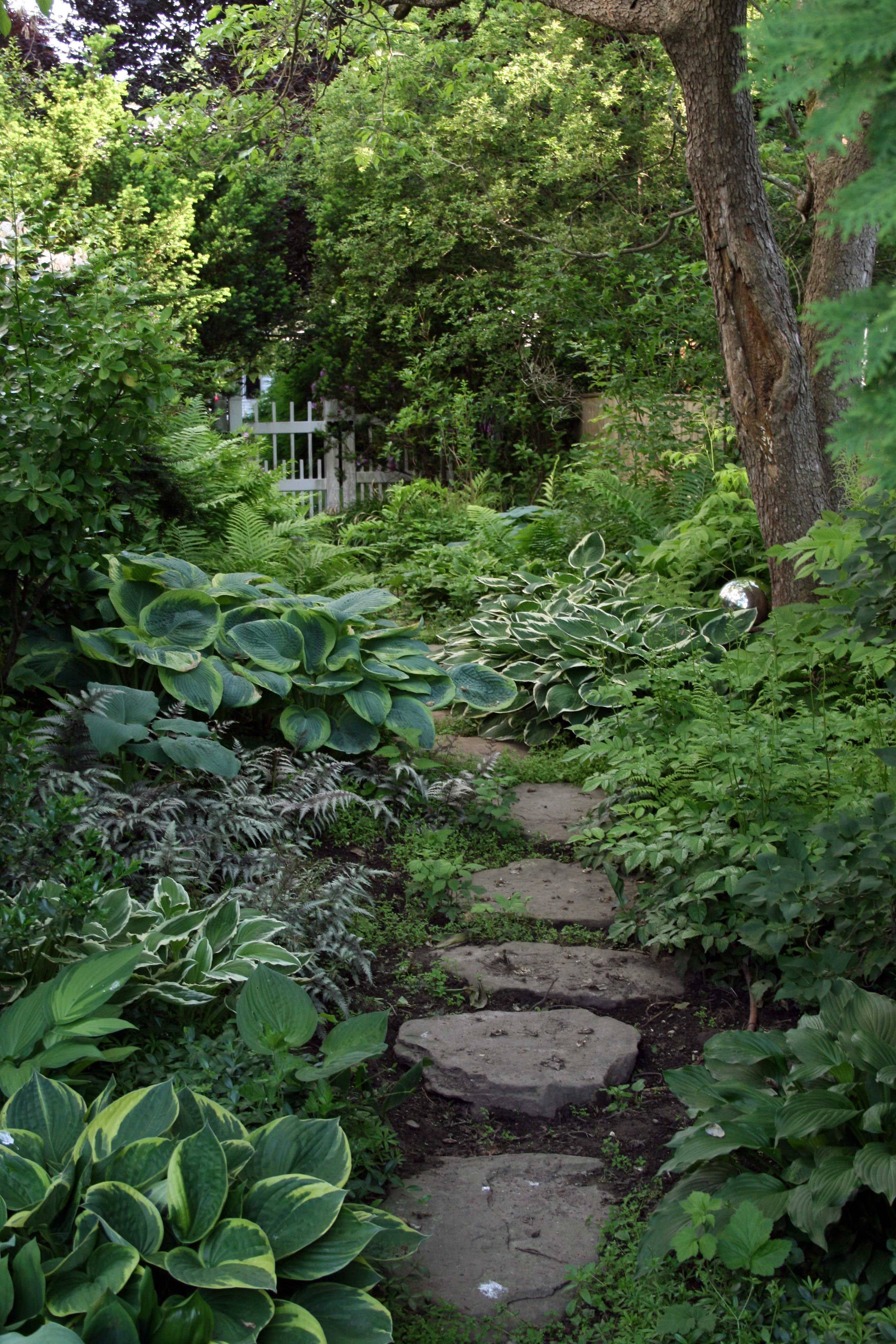 22 Wooded Shade Garden Ideas You Should Look | SharonSable