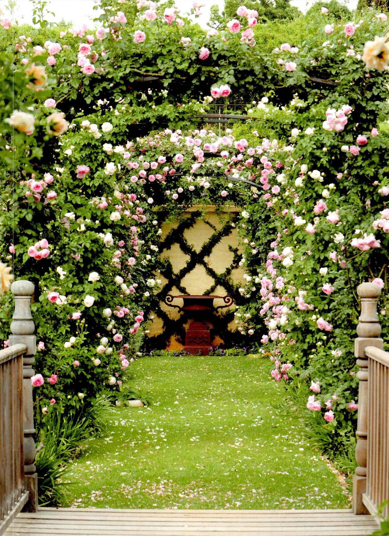 20 Flower Garden Archways Ideas To Try This Year | SharonSable