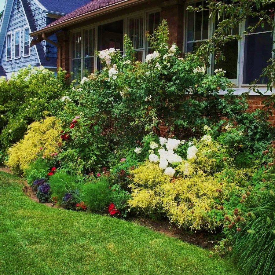 A Lowmaintenance Cottage Garden