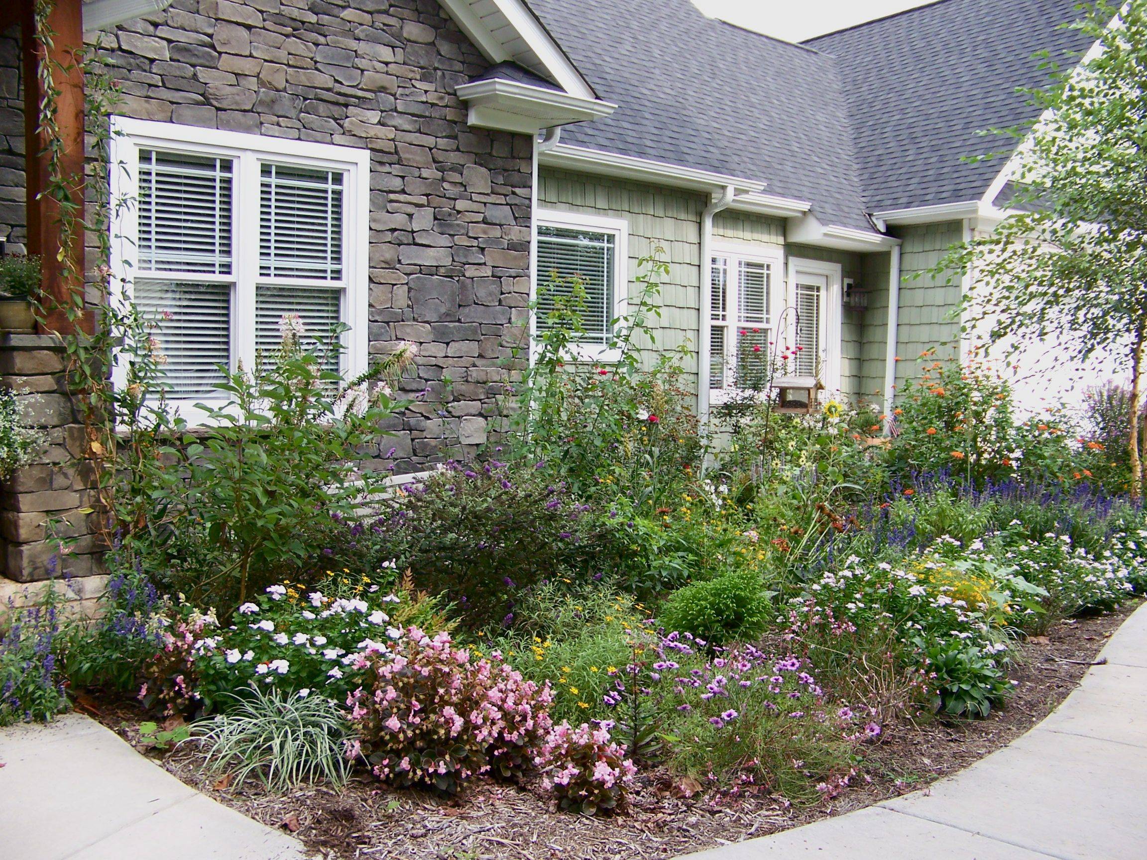 20 Drought Tolerant Cottage Garden Ideas Worth a Look | SharonSable