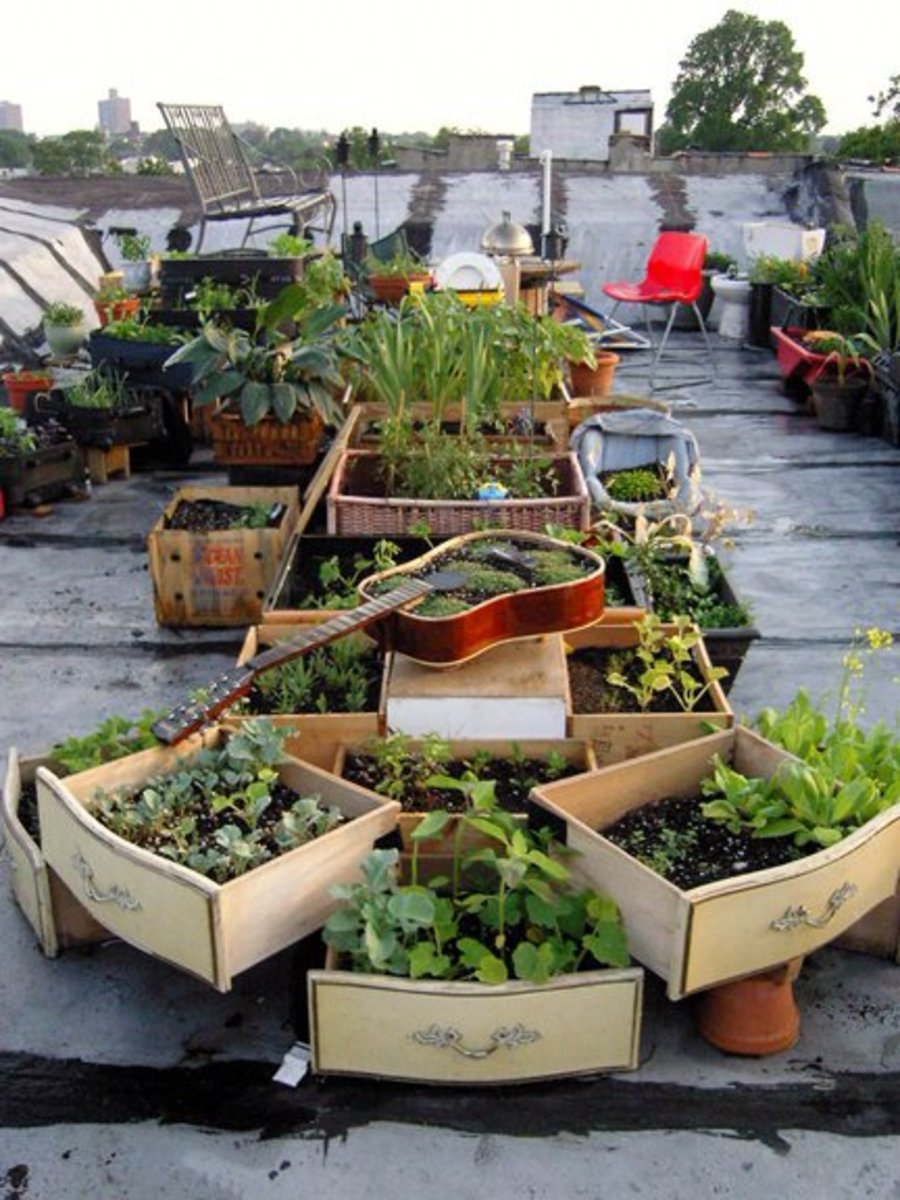 Most Brilliant Garden Junk Repurposed Ideas Garden Junk Diy