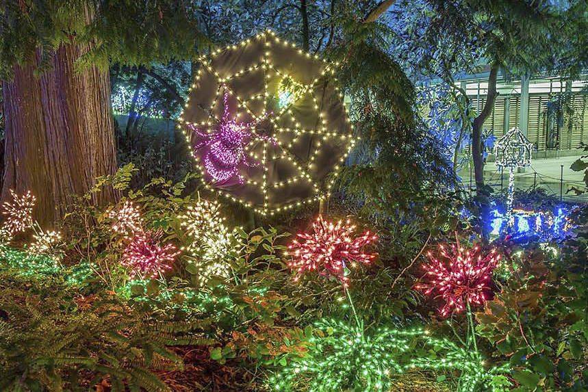 21 Christmas Lights Botanical Garden Seattle Ideas Worth a Look ...