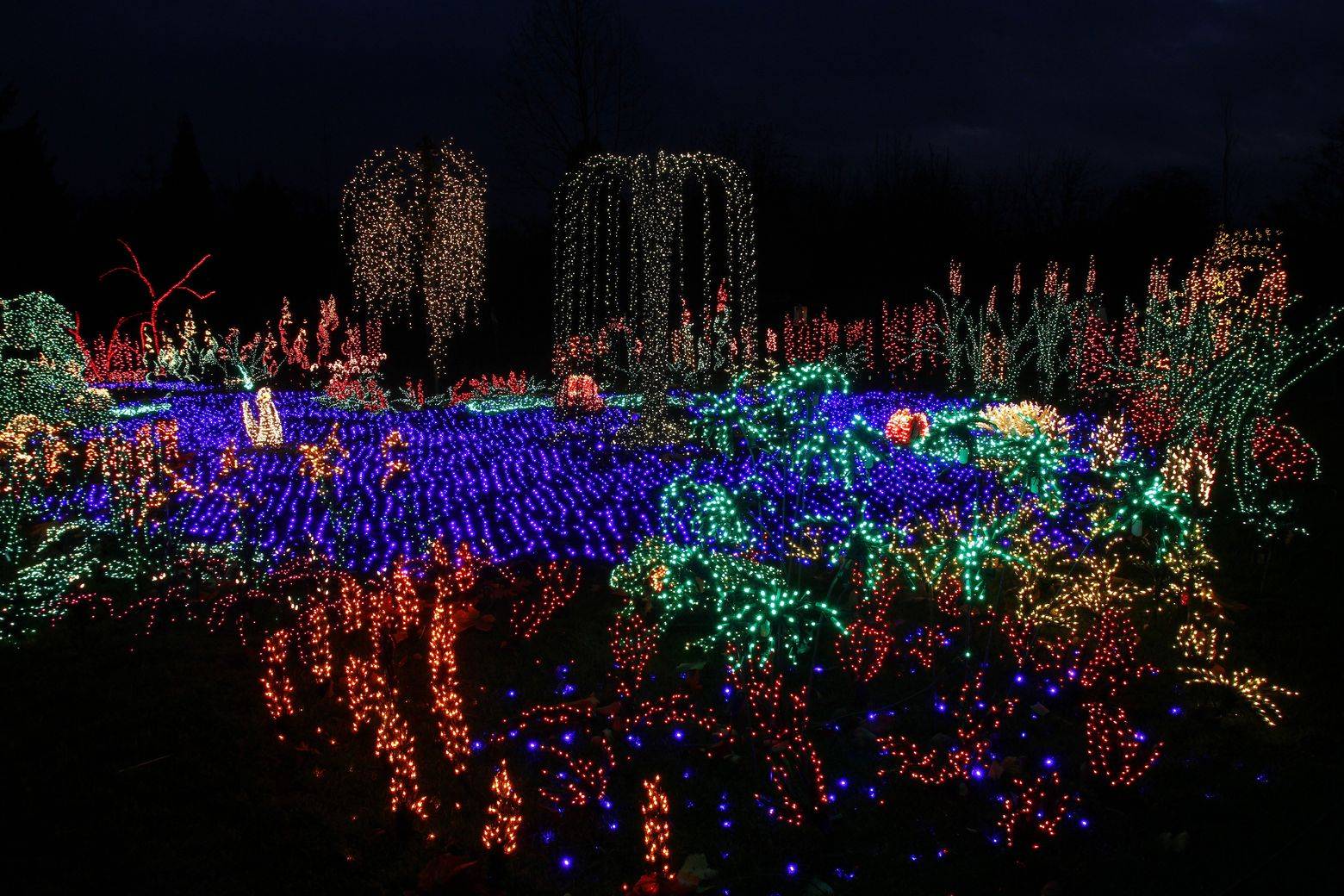 21 Christmas Lights Botanical Garden Seattle Ideas Worth a Look