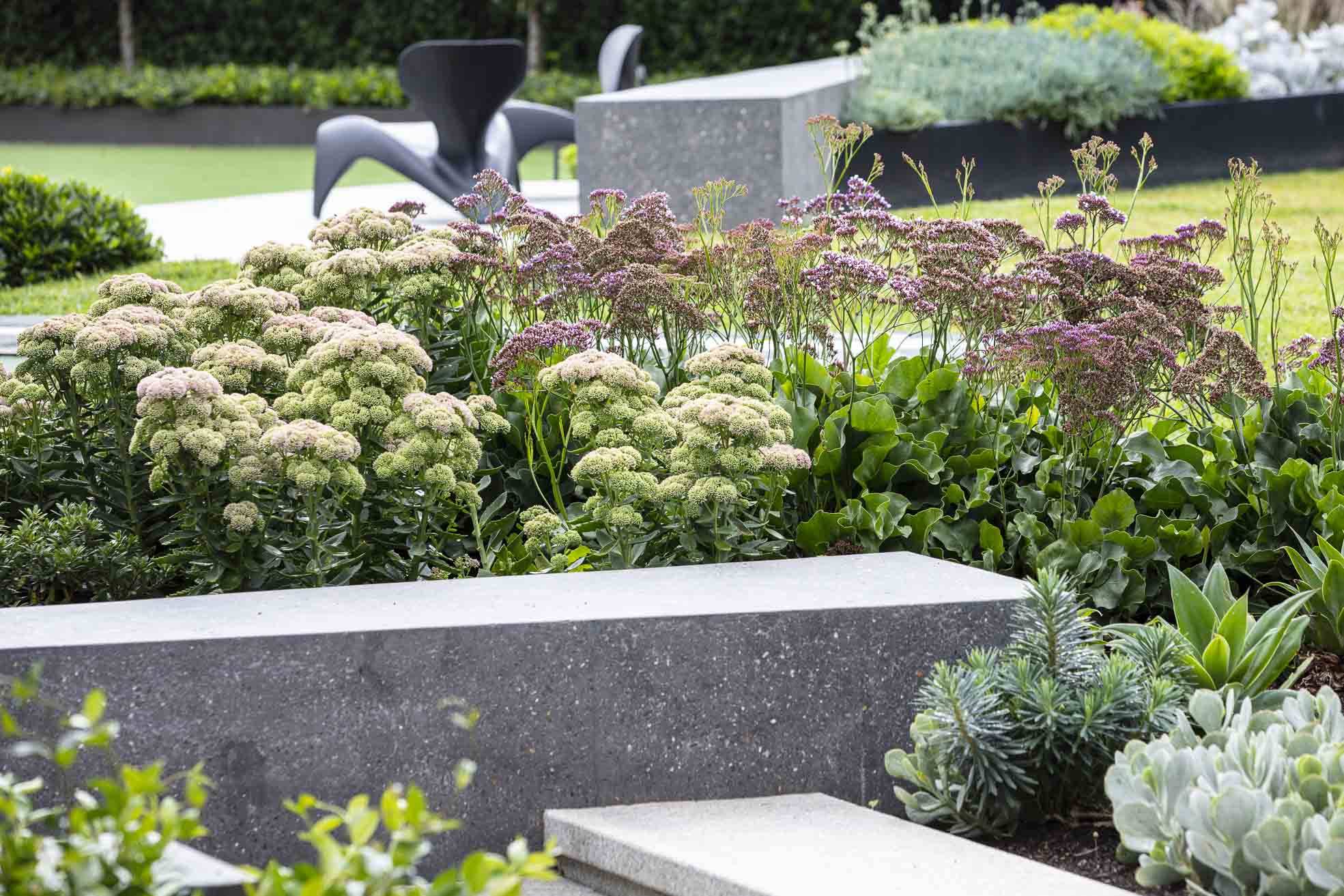 25 Sedum Rock Garden Ideas To Try This Year | SharonSable