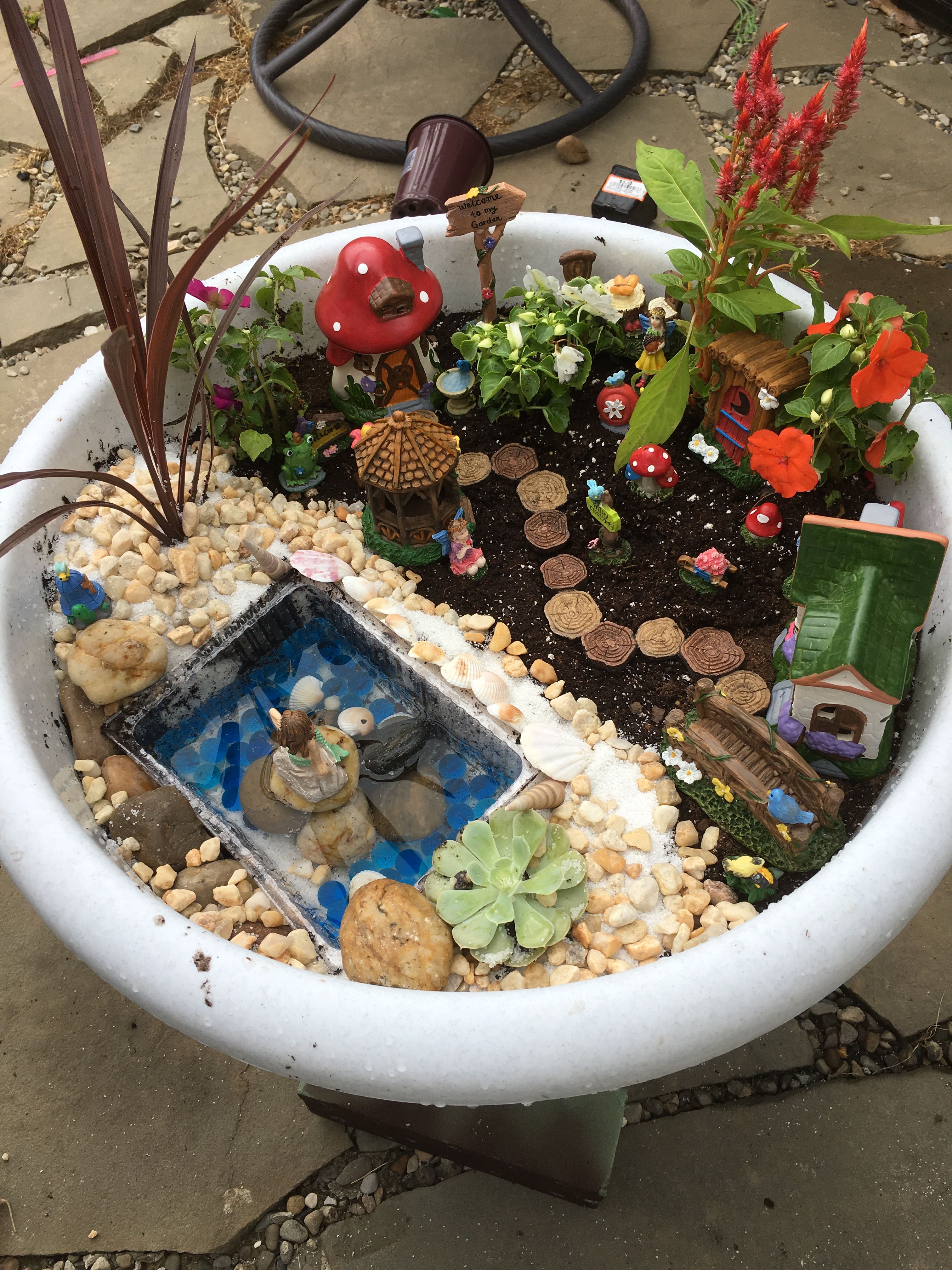 23 Containers for Fairy Garden Ideas Worth a Look | SharonSable