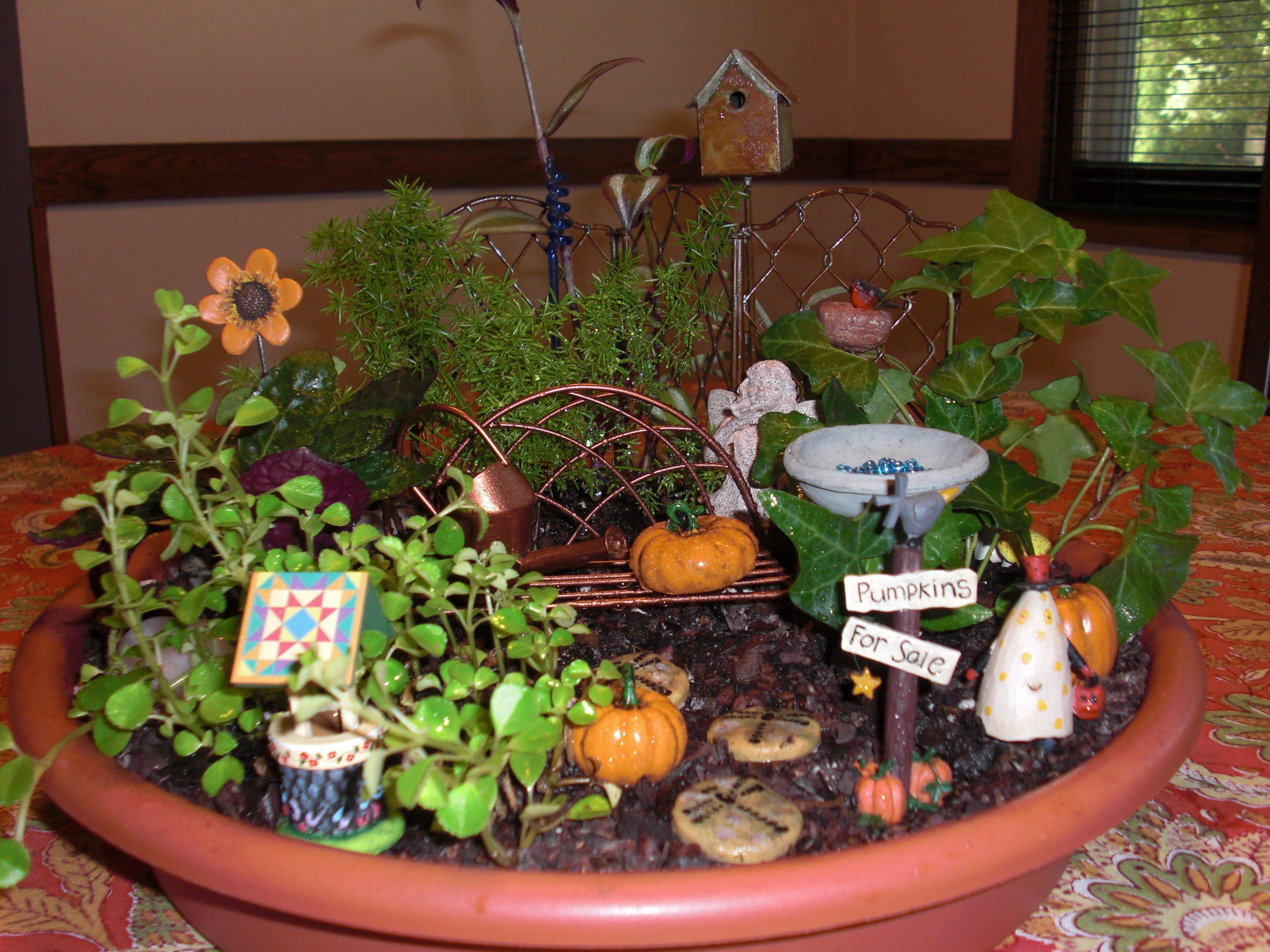 23 Fall Fairy Garden Ideas Worth a Look | SharonSable