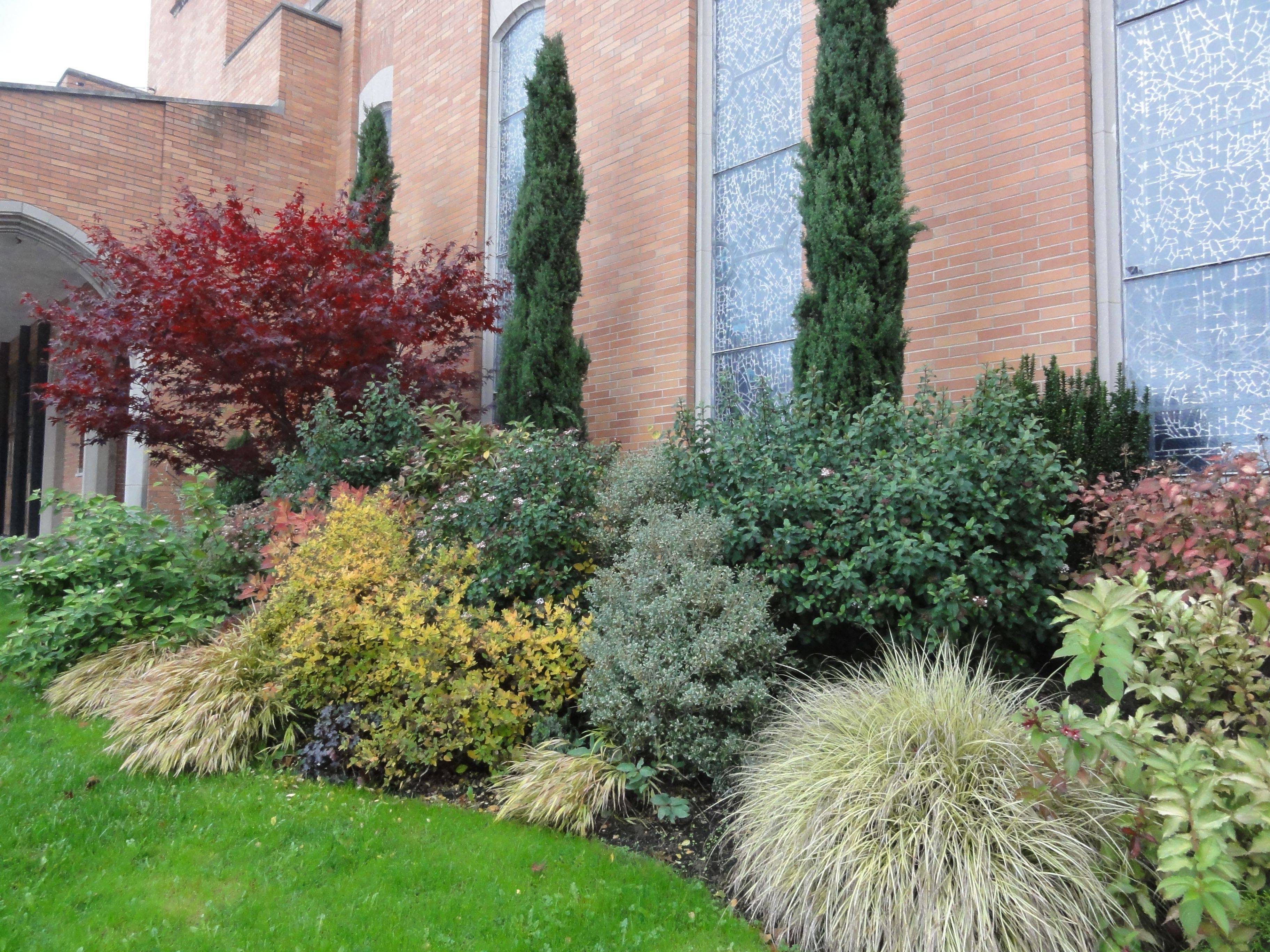 25 Garden Design With Italian Cypress Ideas You Should Check | SharonSable