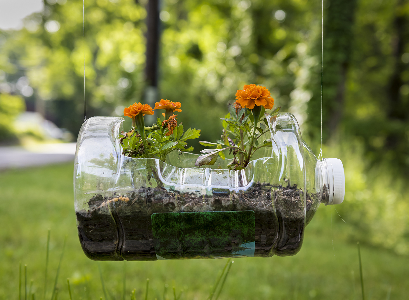 Vertical Herb Garden Vertical Herb Garden