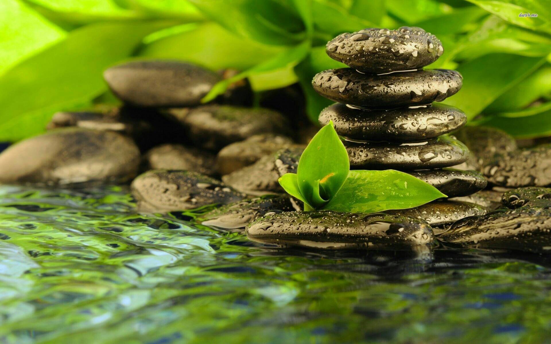 17 Zen Garden Wallpapers for Desktop Ideas You Cannot Miss | SharonSable