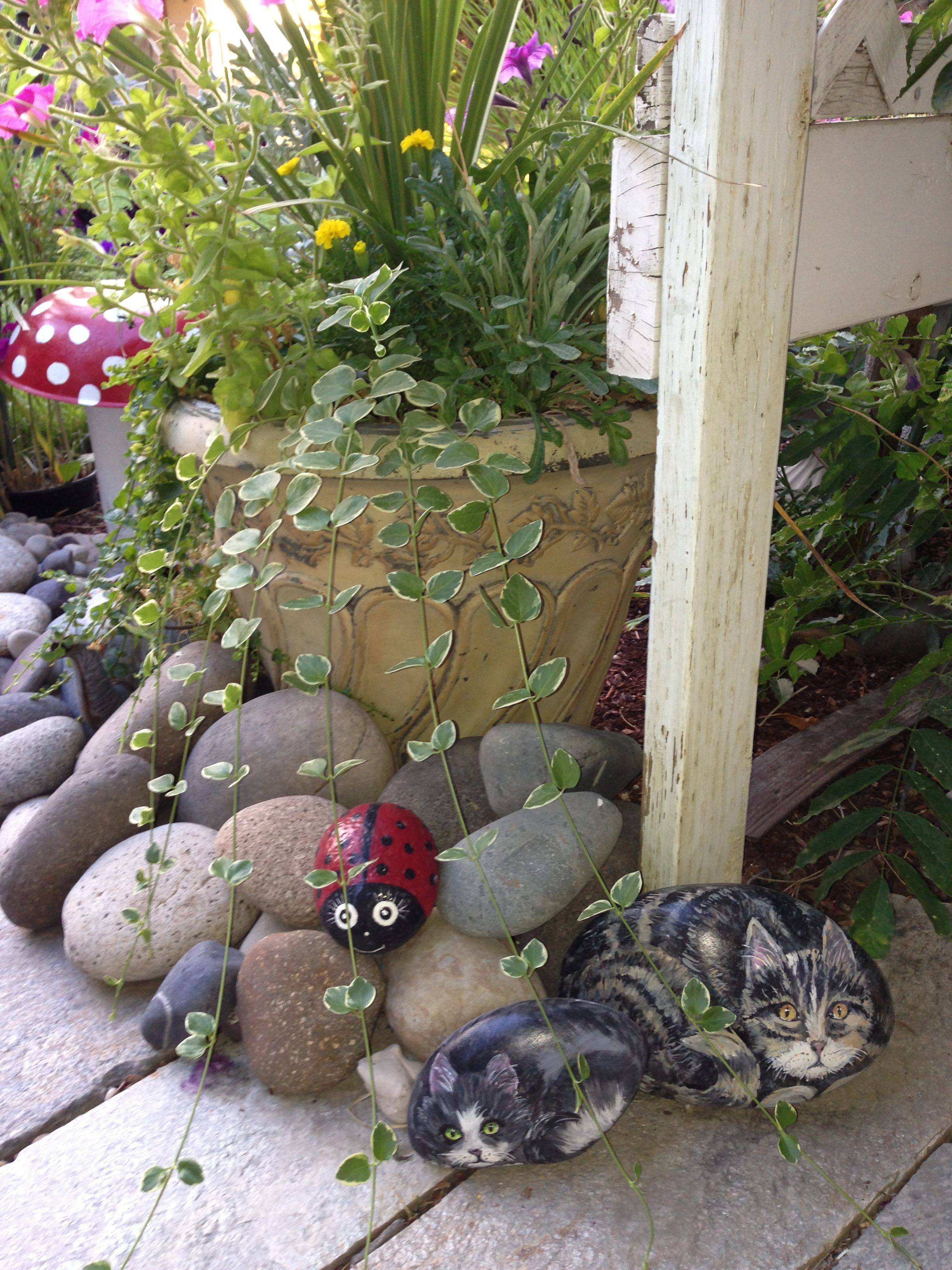 Cat Garden Art