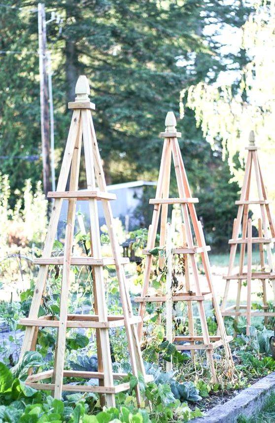 17 Garden Pyramid Trellis Ideas To Try This Year Sharonsable