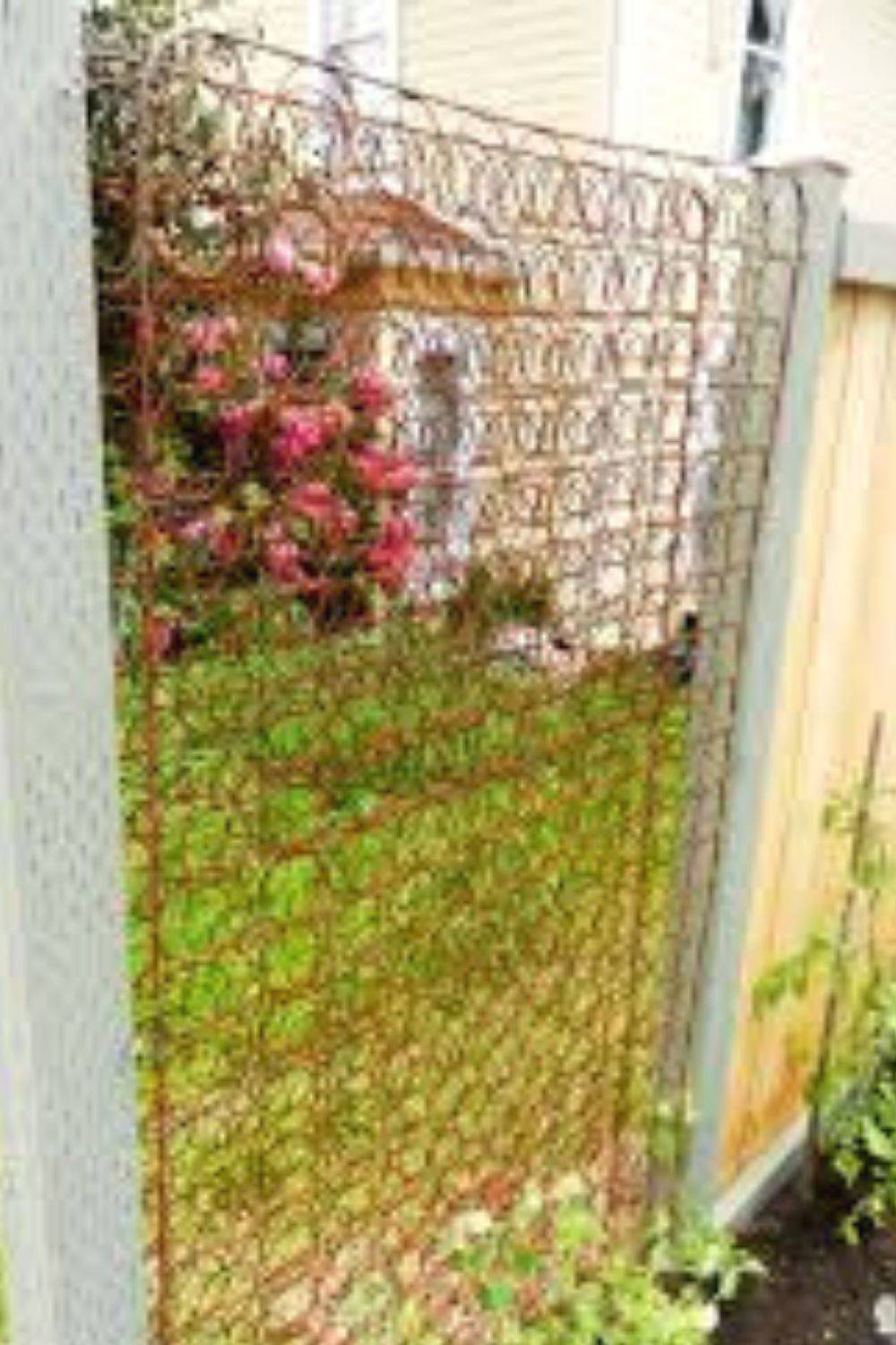 24 Unusual Garden Trellis Ideas You Should Check Sharonsable