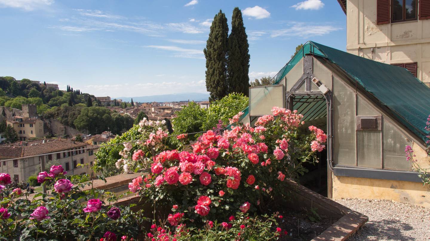 20 Rose Garden Florence Italy Ideas To Consider | SharonSable