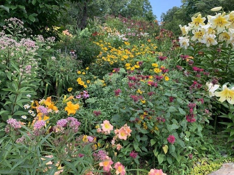 21 Native Pollinator Garden Ideas To Consider | SharonSable