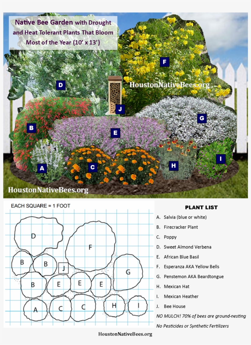 26 Pollinator Garden Plans Ideas To Try This Year | SharonSable