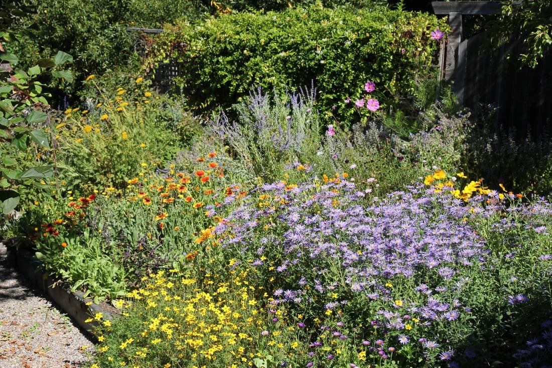 19 Pollinator Gardening Ideas For This Year 