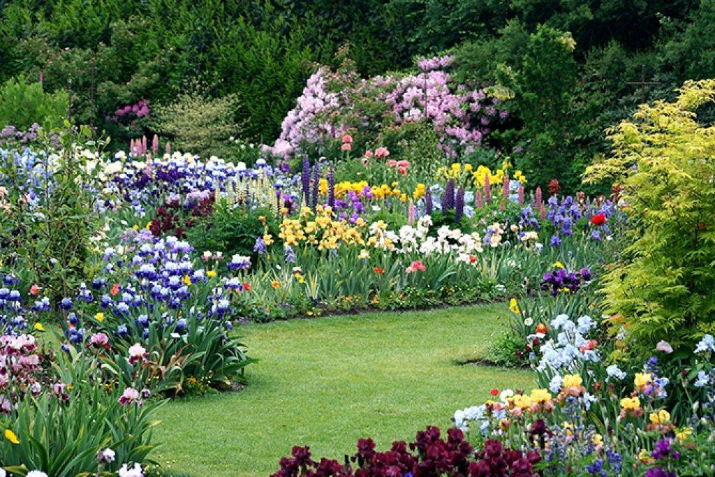 22 Iris Garden Design Ideas You Cannot Miss SharonSable