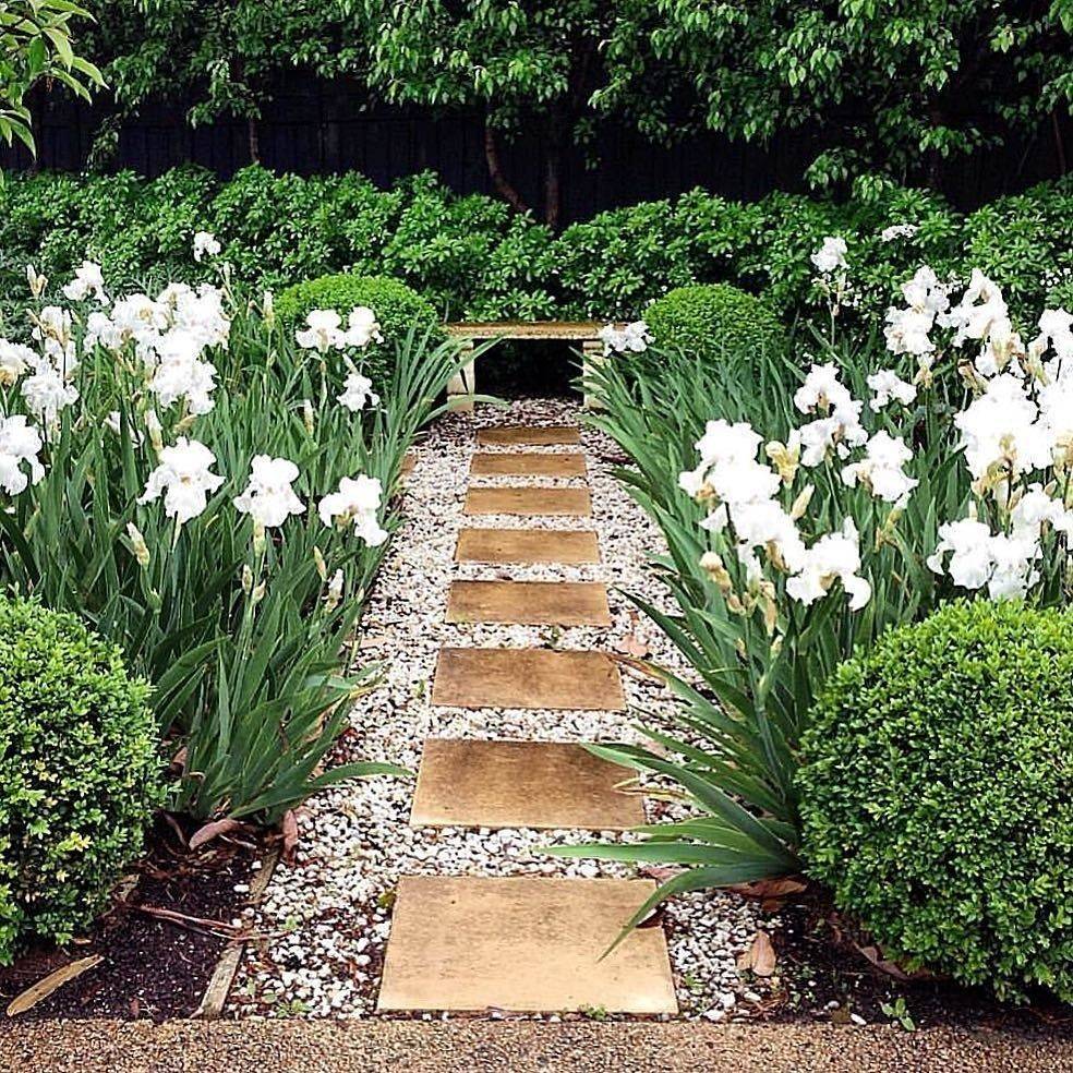 22 Iris Garden Design Ideas You Cannot Miss SharonSable