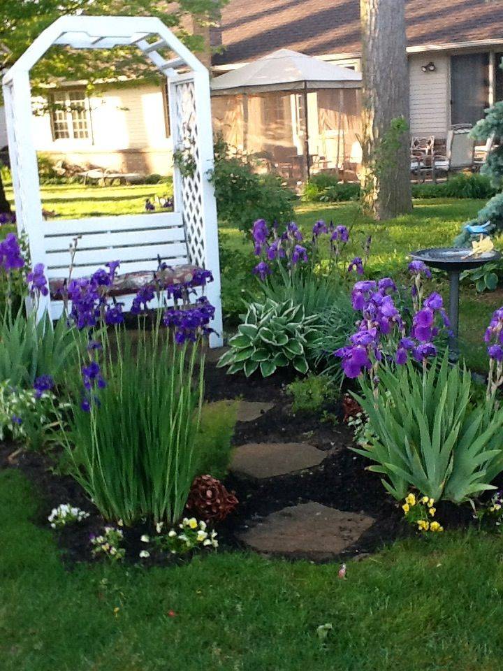 22 Iris Garden Design Ideas You Cannot Miss Sharonsable 4958