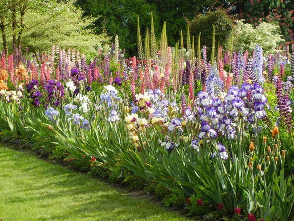 22 Iris Garden Design Ideas You Cannot Miss | SharonSable