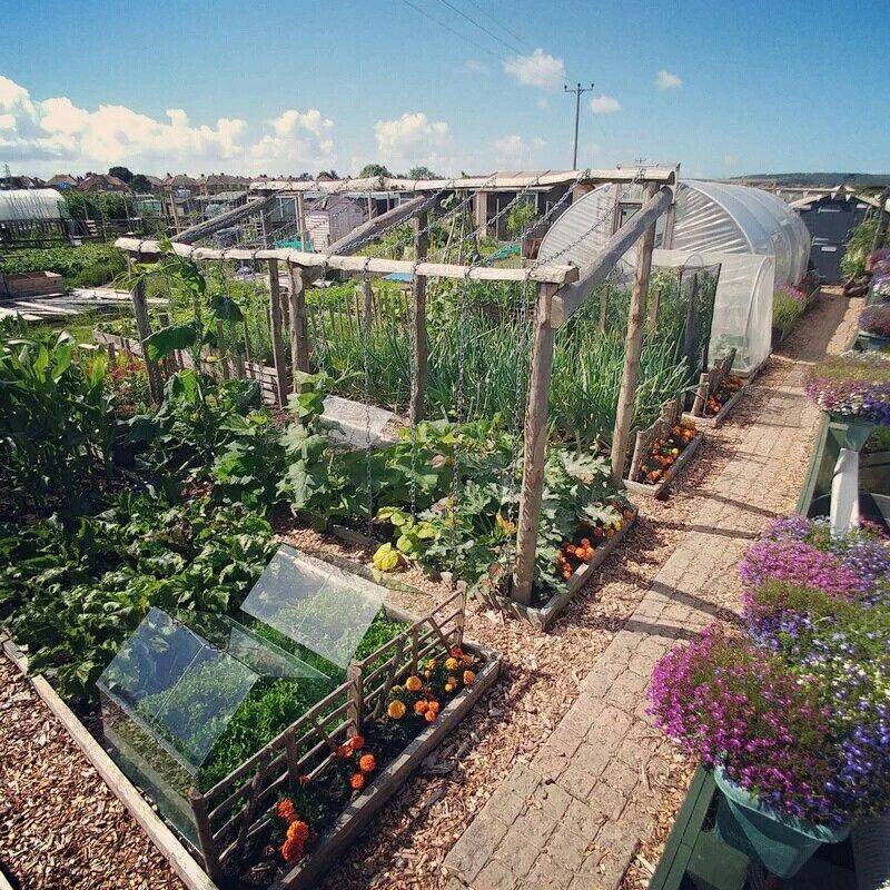 19 Allotment Garden Ideas Worth A Look Sharonsable