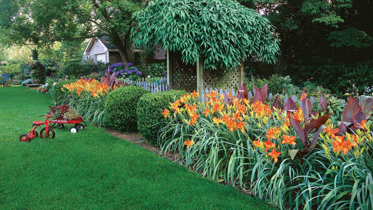 17 Daylily Garden Ideas To Try This Year | SharonSable