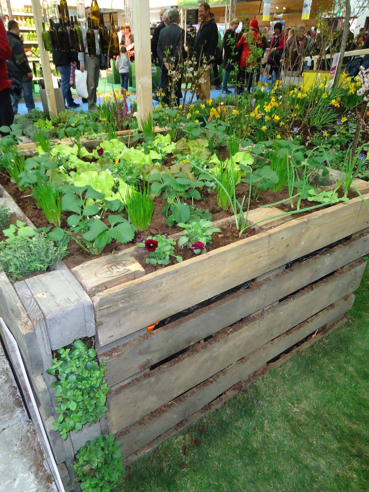 19-raised-bed-garden-cardboard-ideas-to-consider-sharonsable