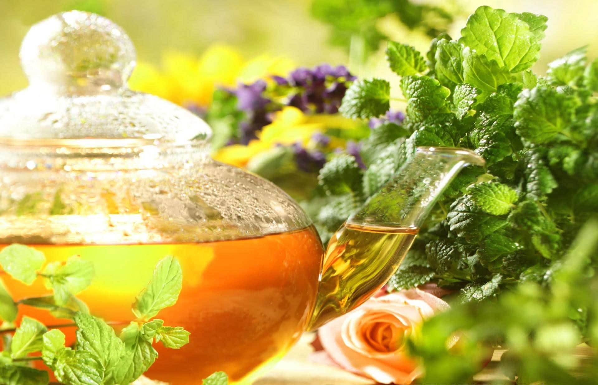 21 Herbal Tea Garden Ideas For This Year | SharonSable