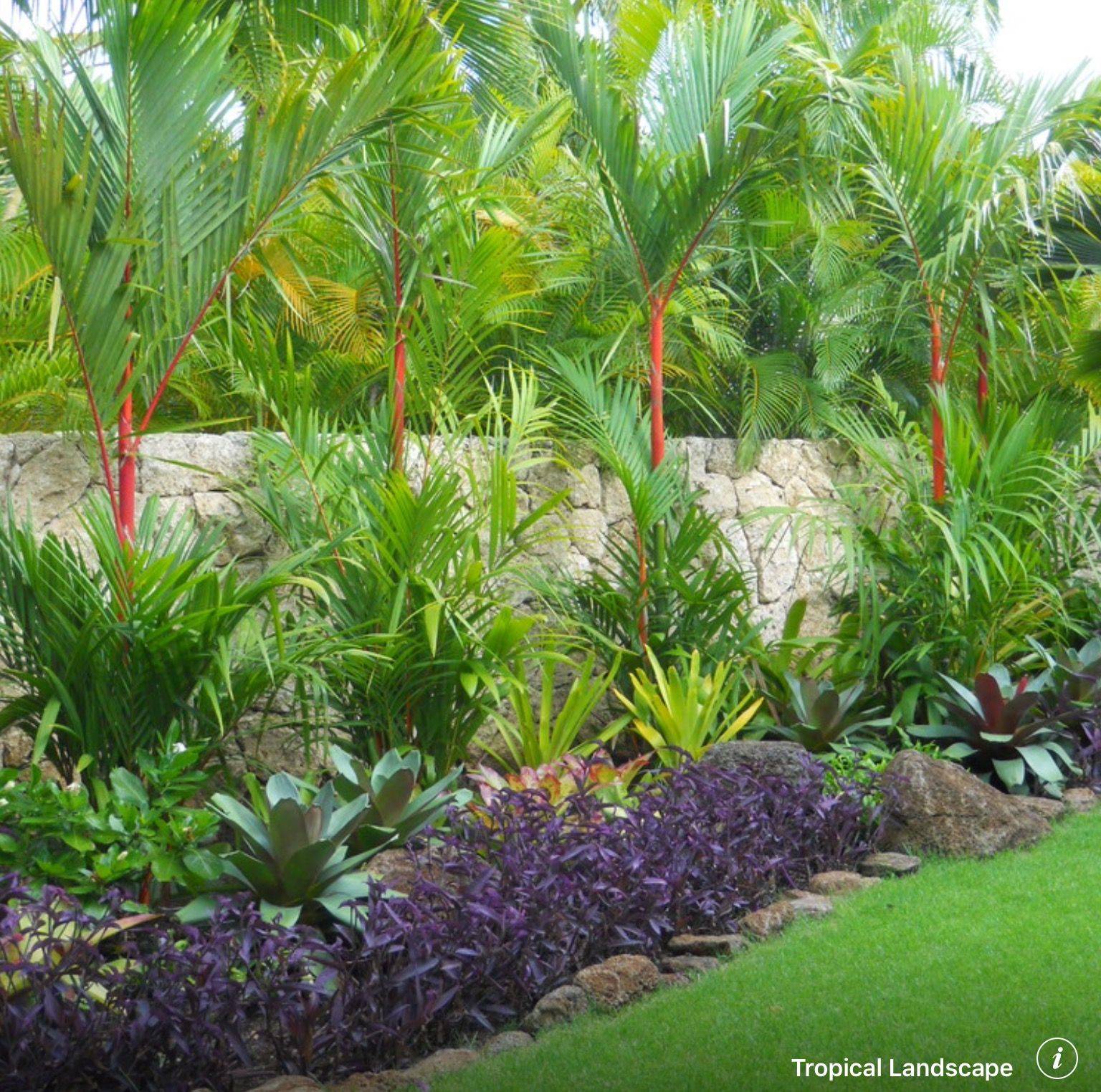 26 Florida Tropical Garden Design Plans Ideas To Try This Year ...