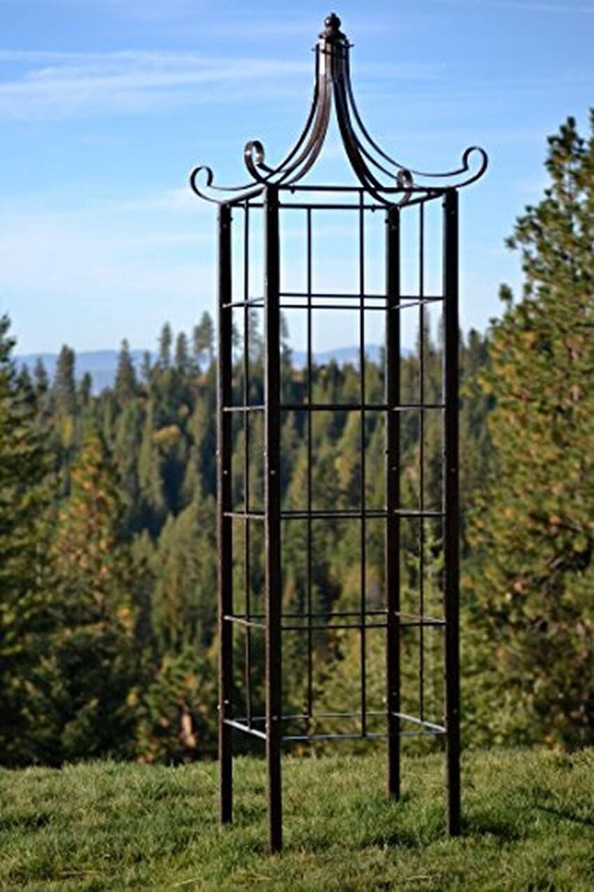 17 Metal Garden Obelisk Trellis Ideas You Gonna Love | SharonSable