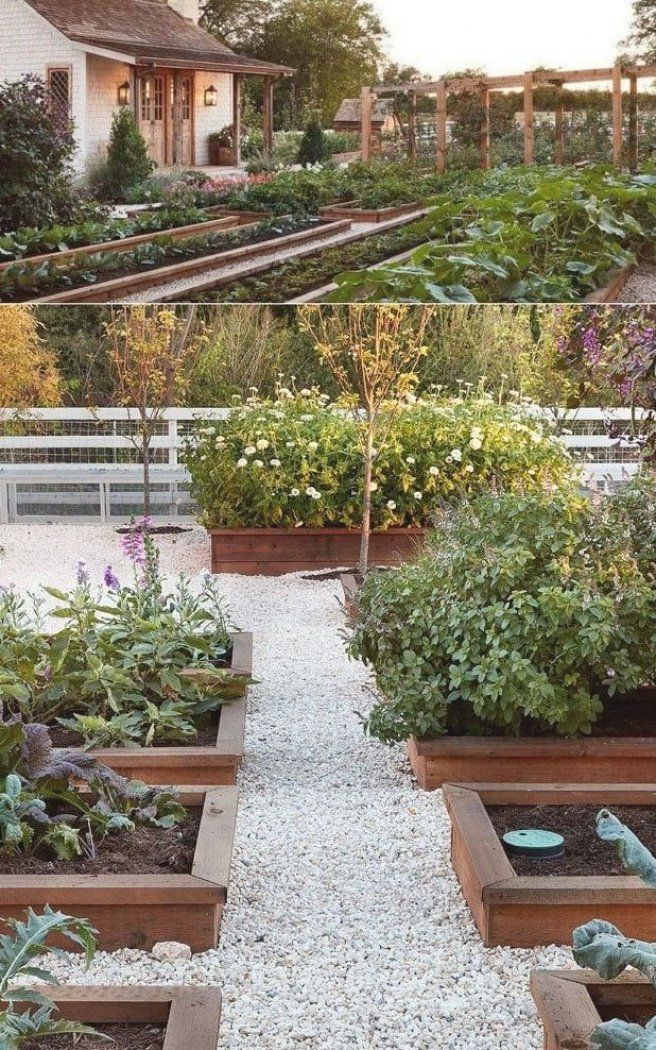 20 Edible Garden Design and Layouts Ideas You Gonna Love | SharonSable