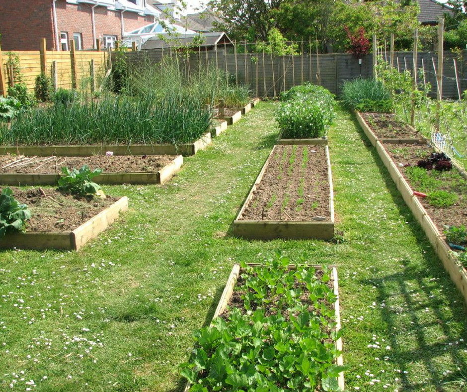 22 Permaculture Vegetable Garden Layout Ideas For This Year | SharonSable