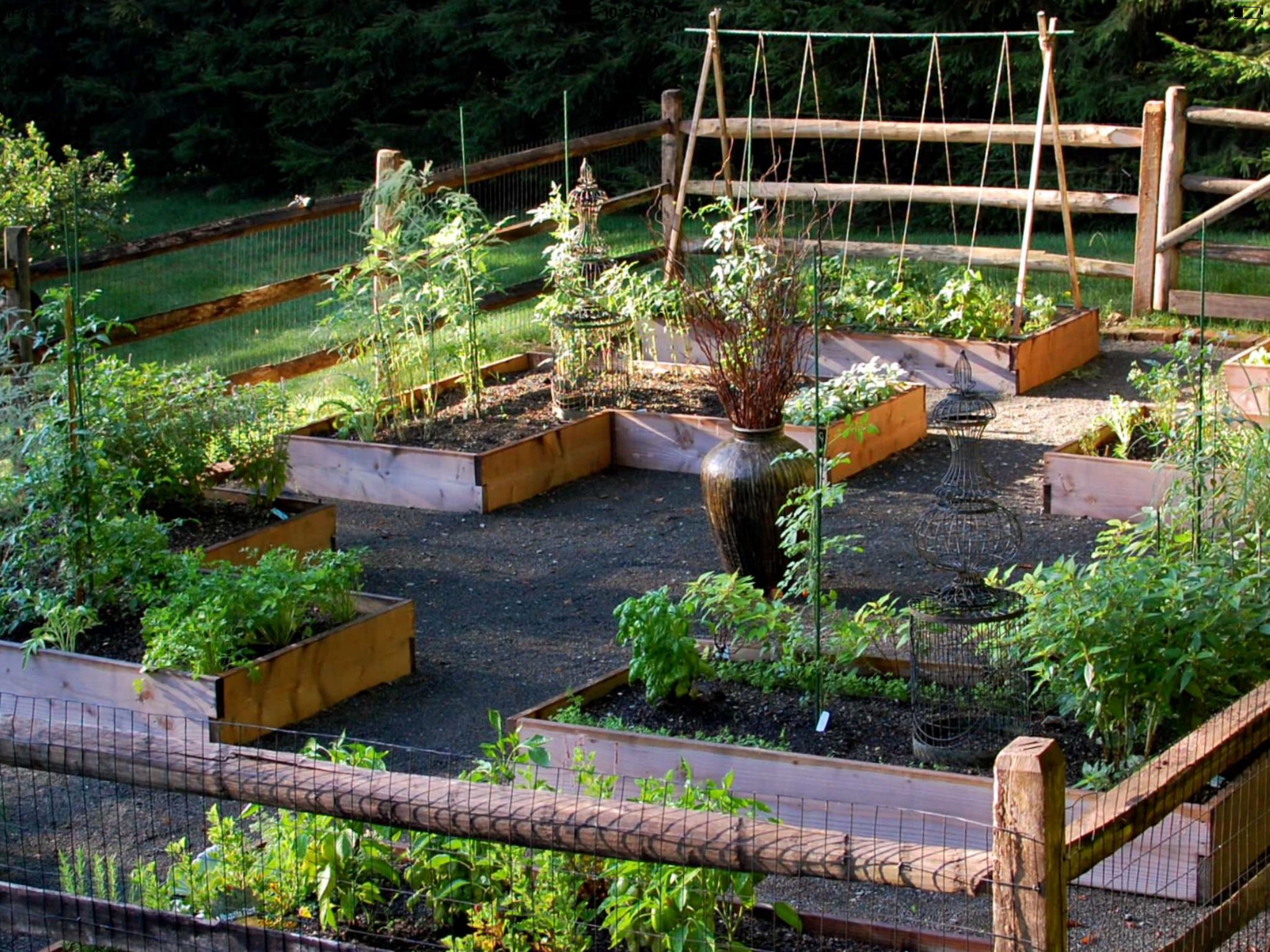 20 Fruit and Vegetable Garden Design Ideas You Cannot Miss | SharonSable