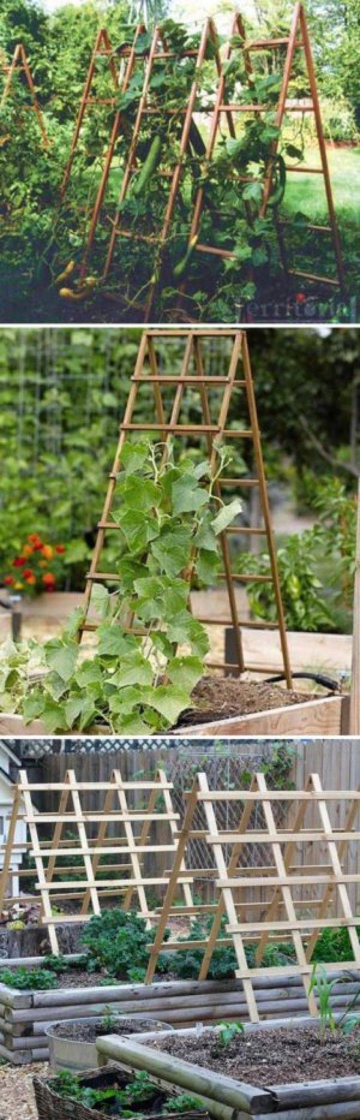 15 A Frame Garden Trellis Ideas For This Year | SharonSable