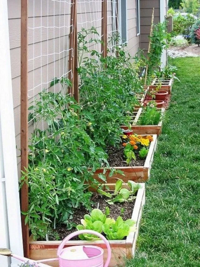 21 Small Backyard Vegetable Garden Design Ideas To Try This Year Sharonsable 7261