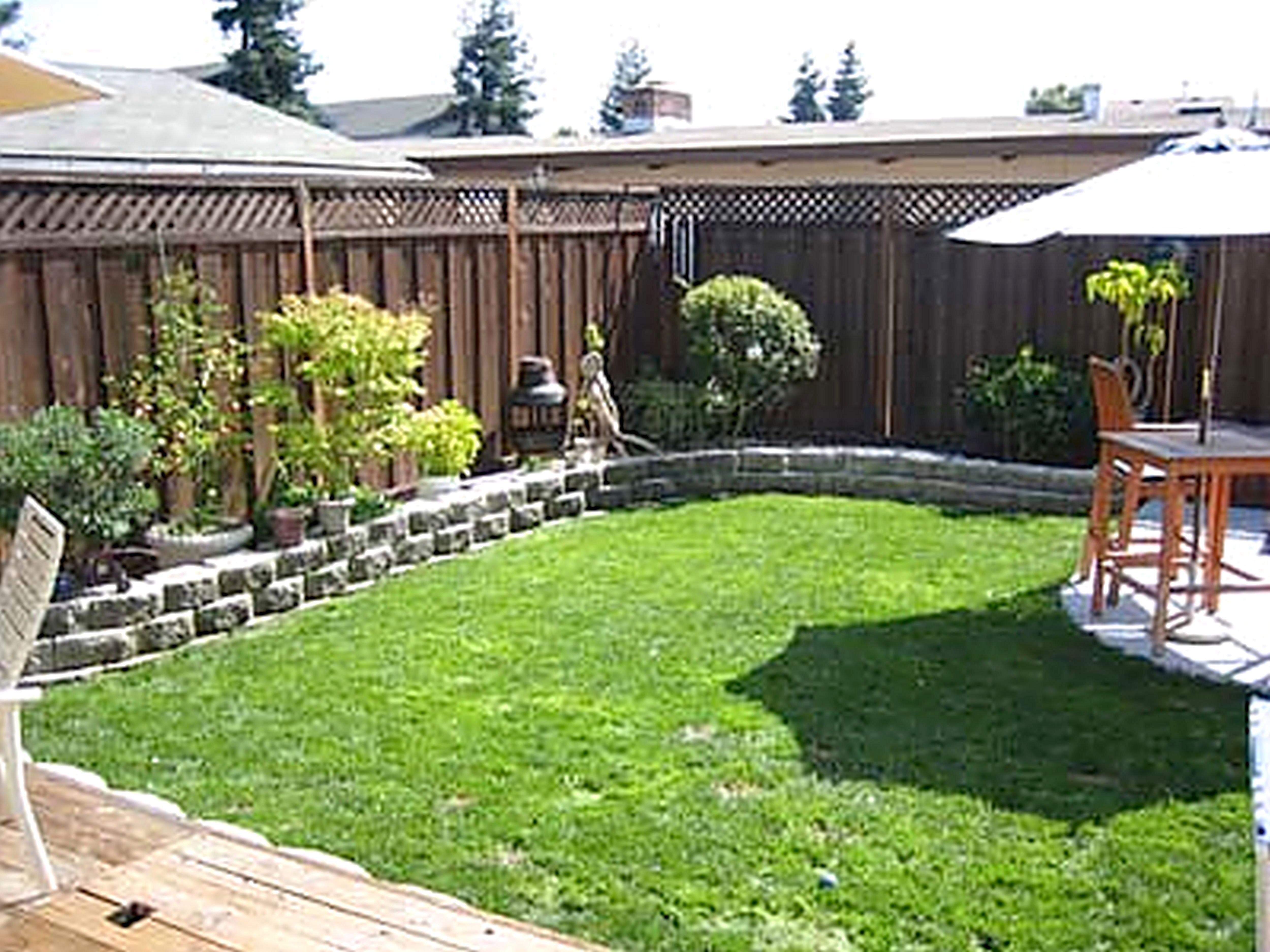 A Budget Large Backyard Landscaping