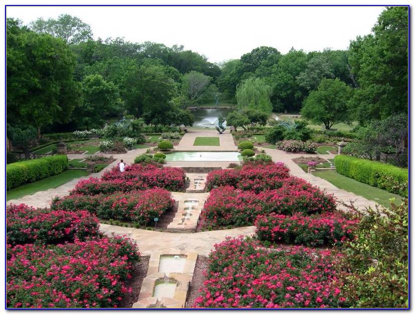 20 Dallas Fort Worth Botanical Garden Ideas You Should Look | SharonSable