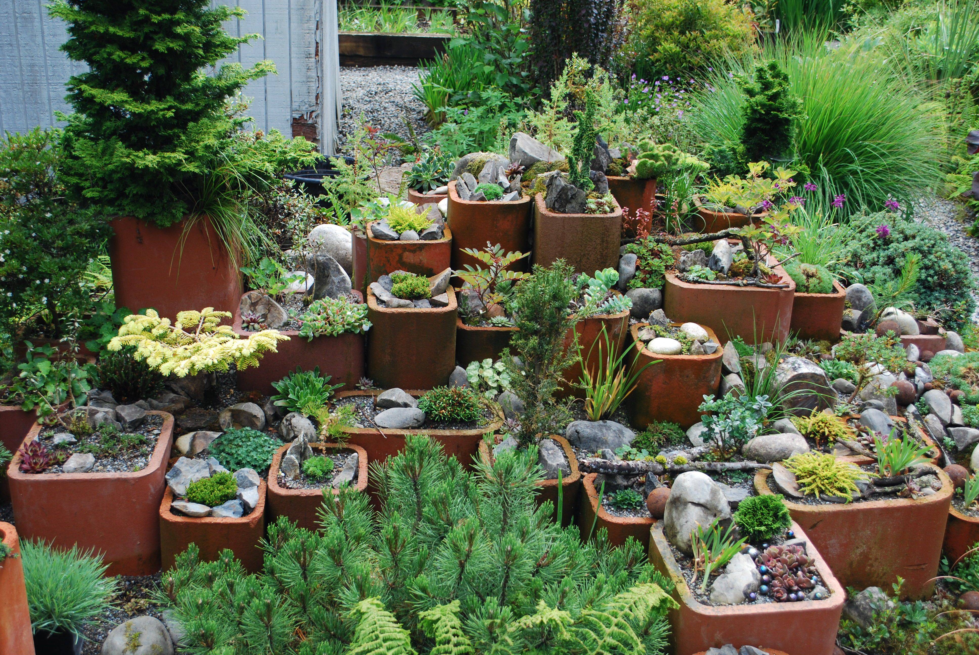 22 Alpine Garden Ideas To Consider | SharonSable