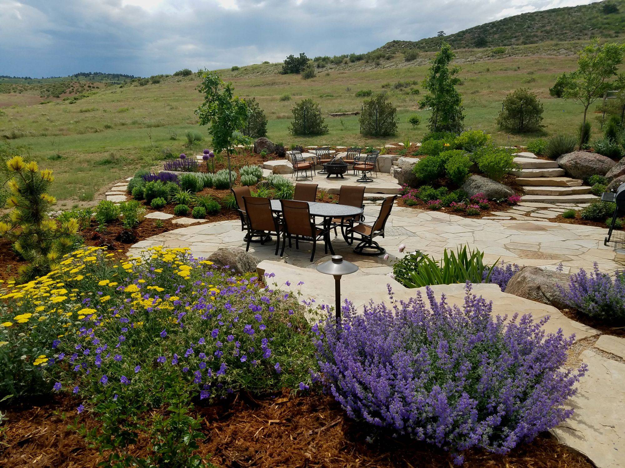 22 Alpine Garden Ideas To Consider | SharonSable